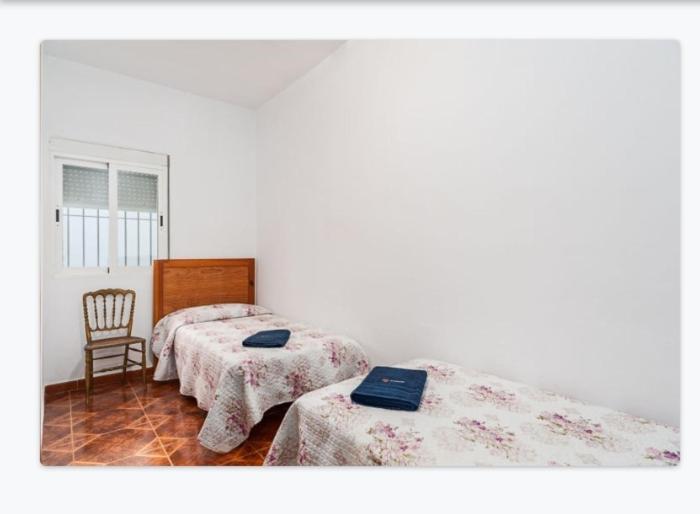 Appartement Casa Loli à Conil De La Frontera Extérieur photo